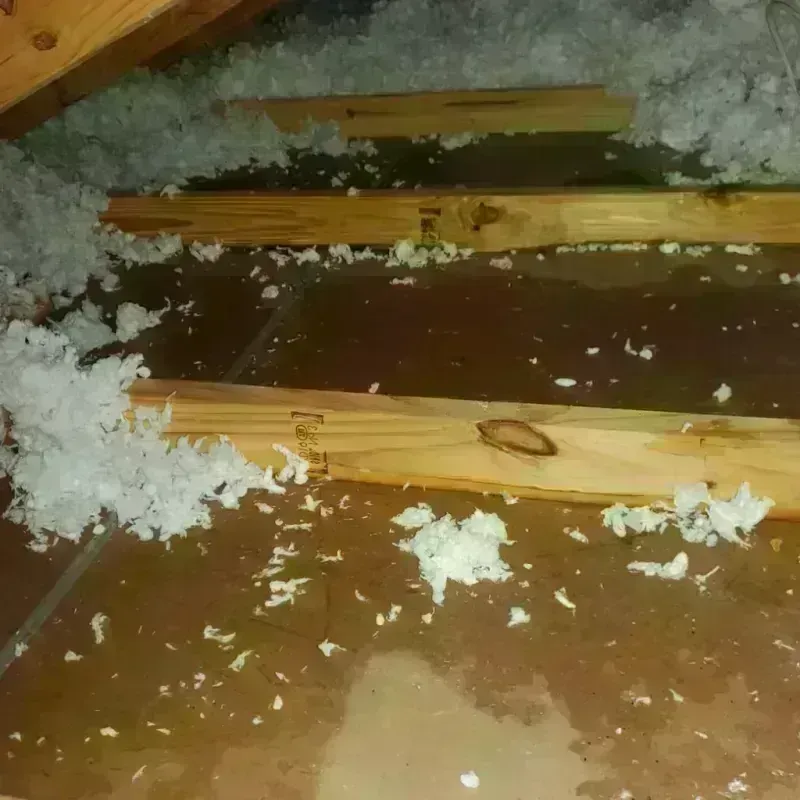 Attic Water Damage in City of Galax, VA